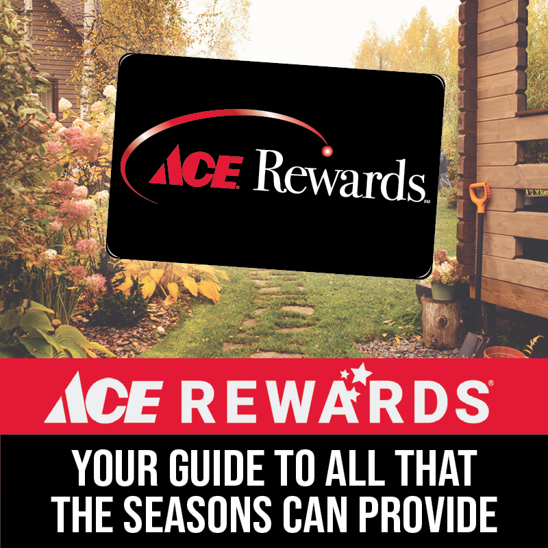 ACE Rewards