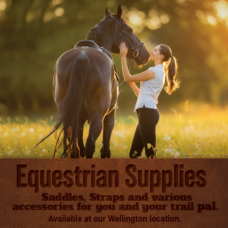 Equestrian Supplies - FL