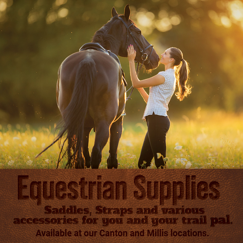 Equestrian Supplies - NE