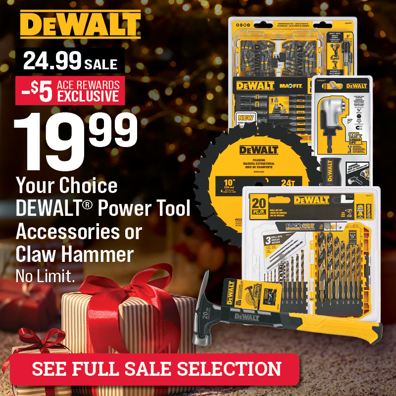 Select DeWalt® Power Tool Accessories or Claw Hammer