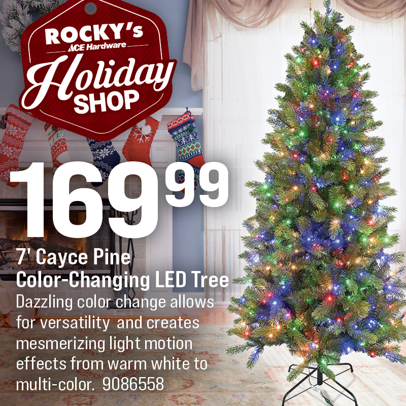 7' Cayce Pine  Color-Changing LED Tree