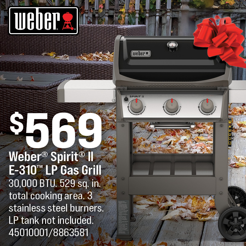 Weber® Sprint® II E-310™ LP Gas Grill