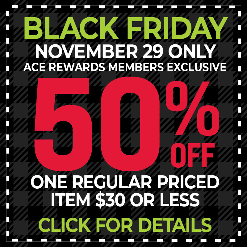 Black Friday November 29 Only Coupon