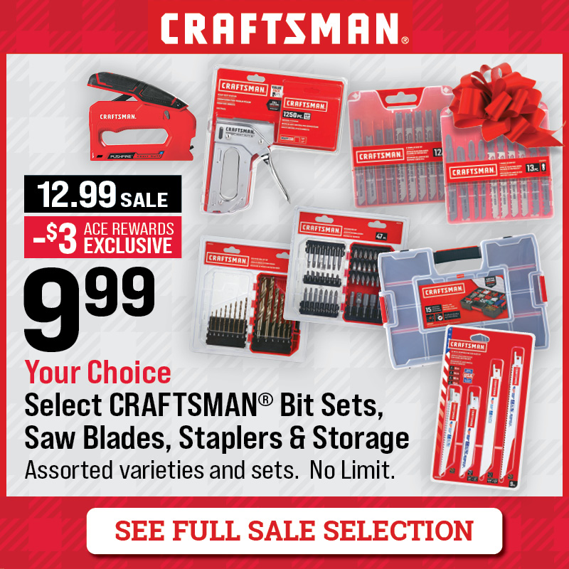 Select Craftsman® Bit Sets, Saw Blades, Staplers & Storage