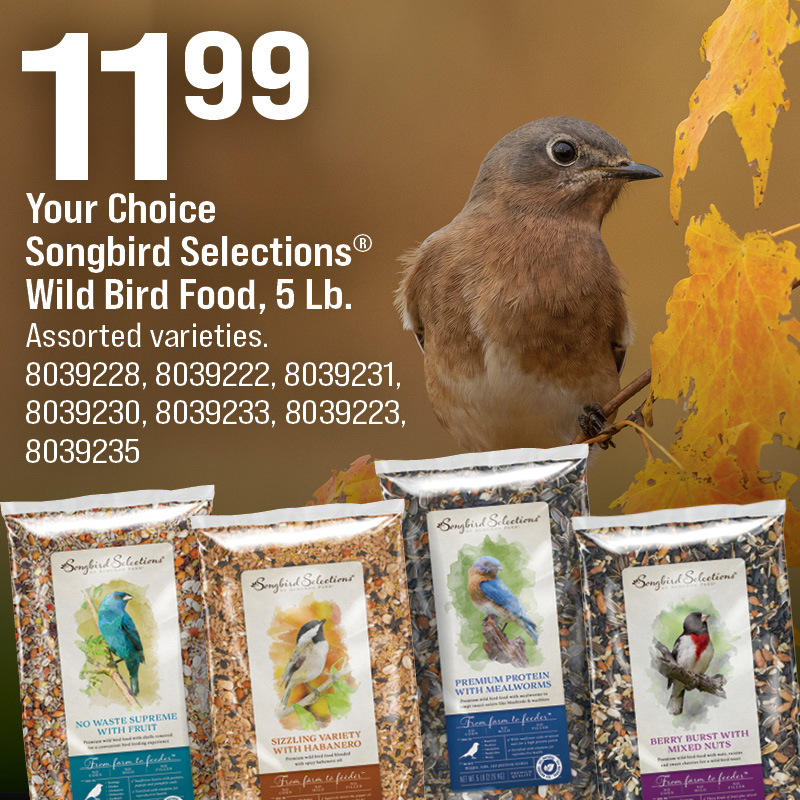 Songbird Selections® Wild Bird Food, 5 Lb.