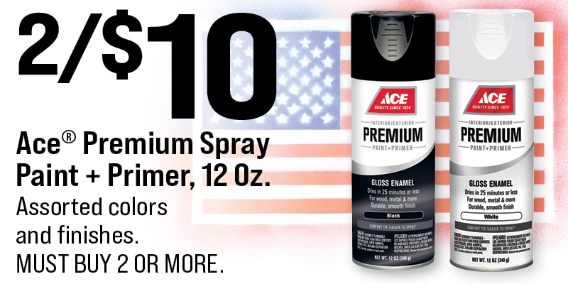 Ace® Premium Spray Paint + Primer, 12 Oz.