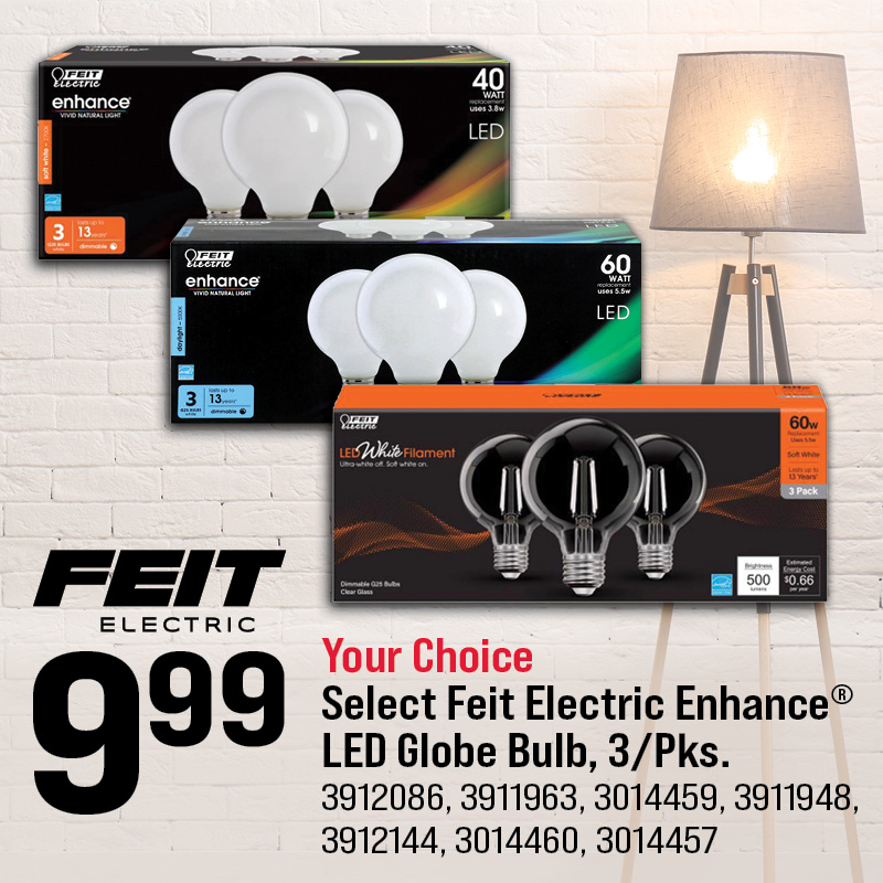 Select Feit® LED Globe Bulb, 3/Pk