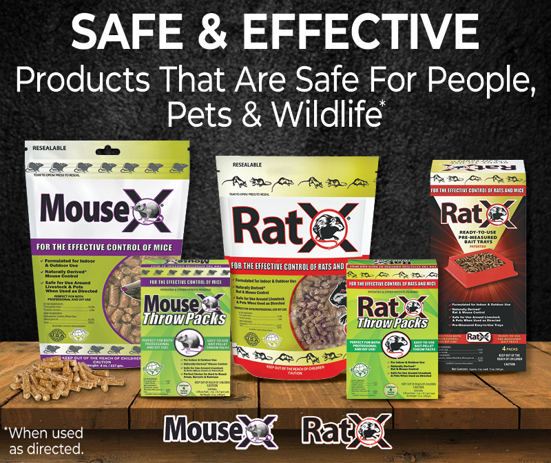 Mouse X and Rat X Pest Control