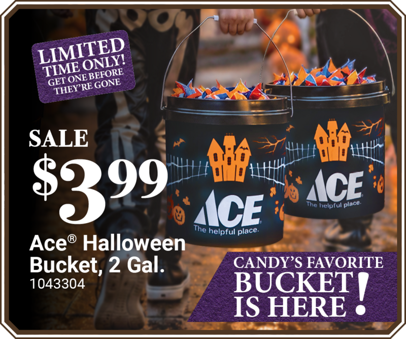 Ace® Halloween Bucket