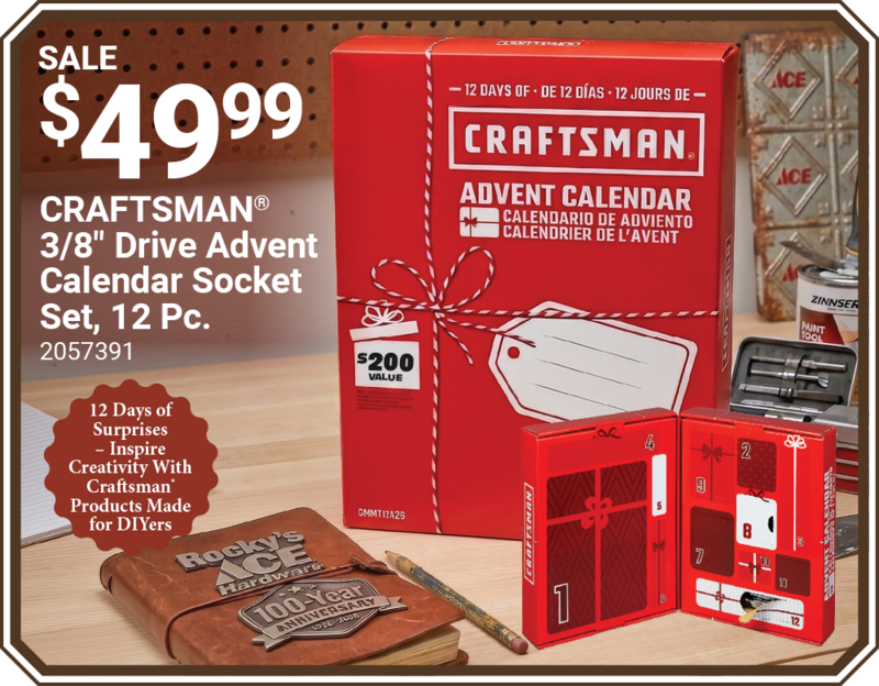 CRAFTSMAN® 3/8" Drive Advent Calendar Socket Set, 12 Pc.