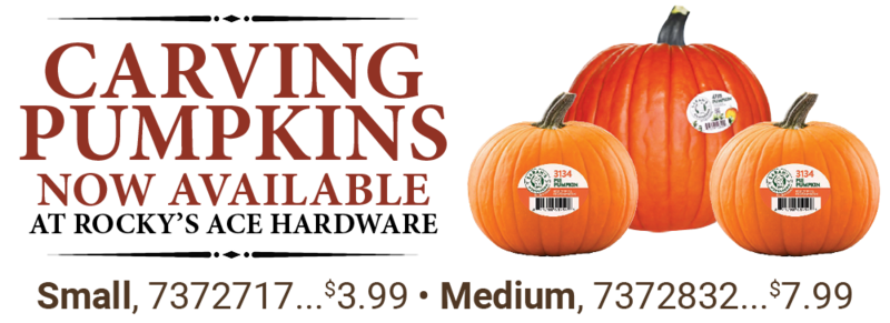 Carving pumpkins now available at your local Rocky's Ace.