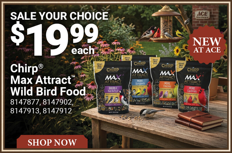 Chirp® Max Attract™ Wild Bird Food