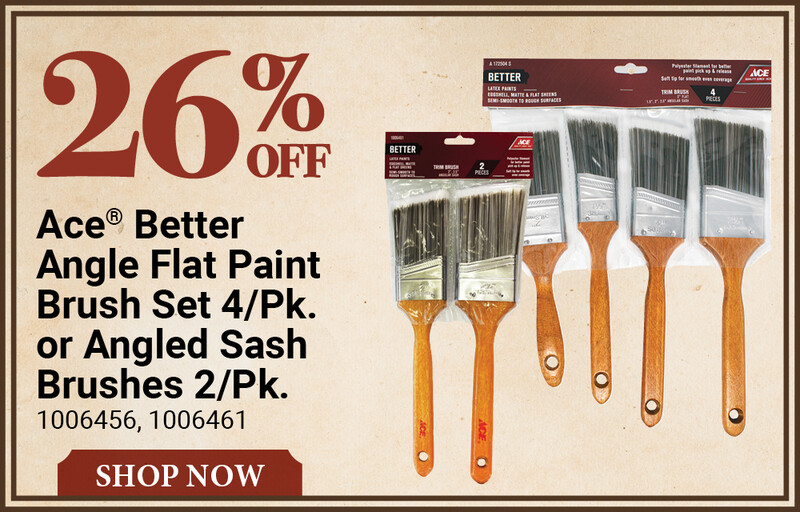 Ace® Better Angle Flat Paint Brush Set 4/Pk. or Angled Sash Brushes 2/Pk.